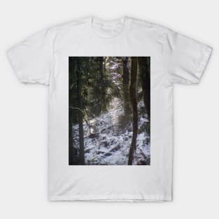 Forest Sun Rays in the Snow #24 T-Shirt